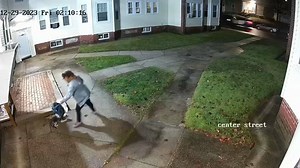 Lowell woman caught on video beating her dog faces animal cruelty charges