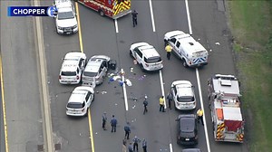 NJ trooper, K-9 injured while trying to arrest knife-wielding man following Turnpike pursuit