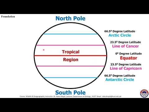 Climate Zones: Tropical, Temperate, & Polar Regions