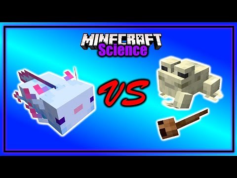Does the Axolotl Attack Frogs and Tadpoles? | Minecraft Science