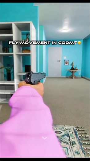 Can a Bullet Outrun a Fly?