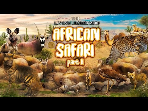 Zoo Tours: The Living Desert Zoo's African Safari PART II