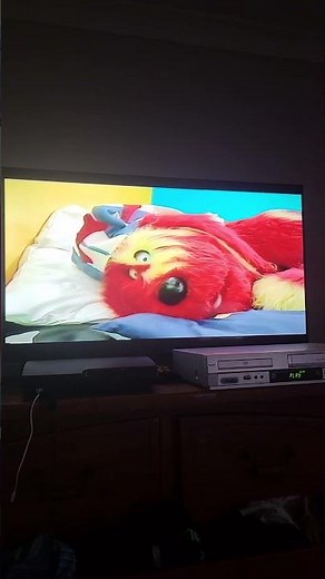 Tweenies Jungle Adventure What The Dogs Dream Of