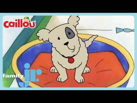 Caillou - Scared of Dogs | Family Jr.