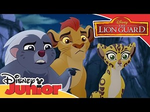 The Lion Guard | Find the Zimwe | Disney Junior Arabia