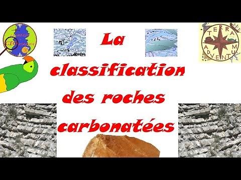 Classification des roches carbonatées (Folk, Dunham...) [Minute géologique #25]