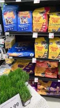 Legal Cat Grass & Mouse Traps In Kalamazoo Michigan