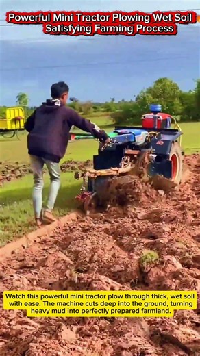 Powerful Mini Tractor Plowing Wet Soil 🔥 Satisfying Farming Process