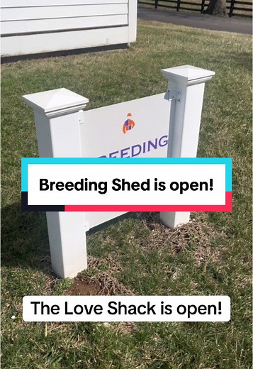 Horse Breeding Insights: Stallions at Breeders Farm