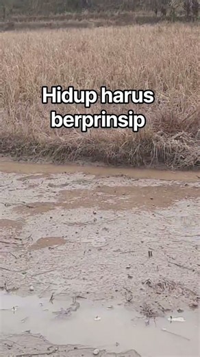 Hidup harus berprinsip