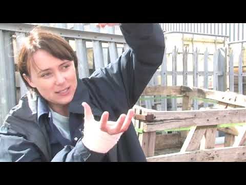 Keeley Hawes behind the scenes of Line of Duty