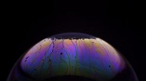 1.7K views | Ready to embrace the disruption shaping the future of accounting? Join us at Accounting for the Future on 26-28 November to explore the critical trends and grasp rising opportunities in technology, climate, and evolving skills: https://ow.ly/LNiU50THxV8 | ACCA | Facebook