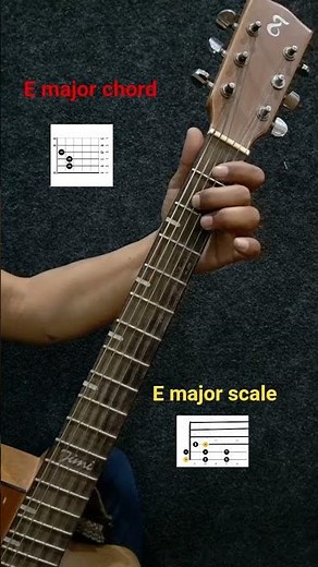 How to Play E Major Chord & Scale | Beginner Guitar Lesson | Swara Tutorials #guitarchords #chords