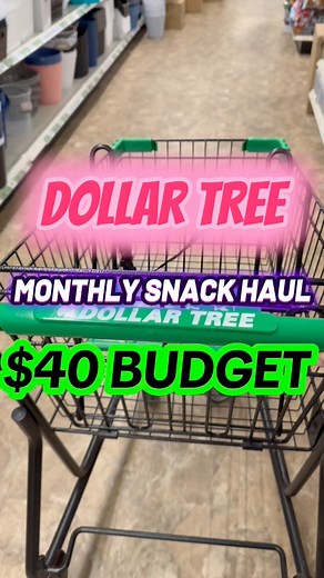 Dollar Tree Monthly snack haul $40 budget! #dollartree #dollartreehaul #snacks #groceryhaul #KidsSnacks #BudgetFriendly Dollar Tree | CassidysCorner