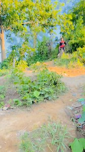 Fast fast 🥸 | Tushar Emran Apu