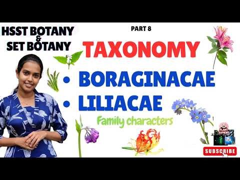 Family :Boraginaceae & Liliaceae Characters Explained | Botany Lecture