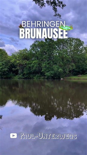 Lüneburger-Heide in Behringen am Brunausee #nature