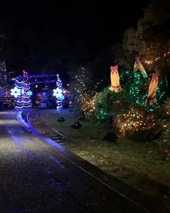 28 reactions | Bright Nights in Stanley Park opens tonight!...