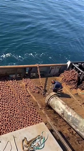 7.1K views · 33 reactions | Anchor dropped #perfect #anchor #ship #drop #shiplife #ocean | Elham Pourgol | Facebook