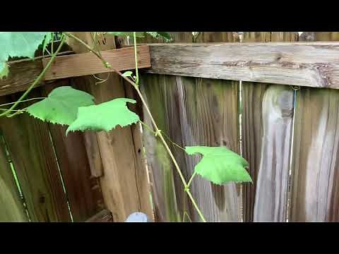 Pinhole leak on Hayward sand filter