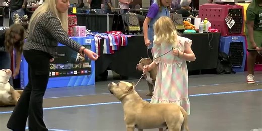 Bully-breed annual dog show returns to Longview convention center
