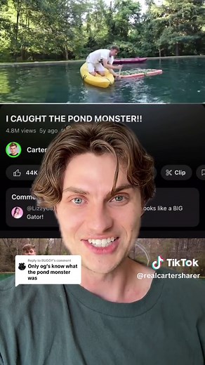 Replying to @BUGGY the pond monster full story #greenscreenvideo #pondmonster #sharethelove #stephensharer #cartersharer #sharethelove