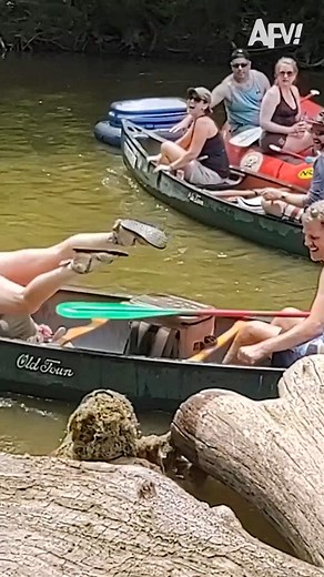 263K views · 715 reactions | GOTCHA! 藍 | AFV Classics | Facebook