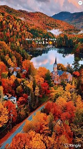 115K views · 663 reactions | What is your favorite season? Which of...