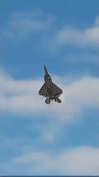 Amazing F-22 Raptor #airforce #militarysimulation #dcs