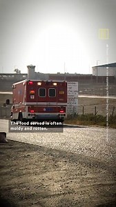 30K views · 3.3K reactions | Older adults are the fastest-growing segment of the federal prison population, yet conditions continue to be harsh & unlivable — here’s what you should know (warning: distressing) This video was made in collaboration with Galaxy Gives and REFORM Alliance. To learn more, visit galaxygives.com and reformalliance.com. | NowThis | Facebook