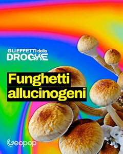 309K views · 10K reactions | Cosa succede al nostro corpo quando si assumono i funghetti allucinogeni? Ve lo spieghiamo nel terzo episodio della nostra serie "Gli effetti delle droghe": un'idea nata per aumentare la consapevolezza sugli effetti legati al loro consumo. Attenzione: questa sostanza potrebbe sembrarci “innocua” e priva di effetti collaterali, eppure ha i suoi lati oscuri. | Geopop | Facebook
