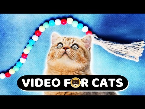 CAT GAMES - Beads on a String. Videos for Cats | Movie for Cats | 1 Hour.