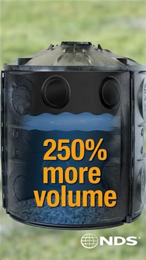 👋Bye-Bye Backyard Bogs!