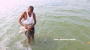 Net fishing | Gill net fishing in indian river | Catching fish in a big stream of water | கடல்