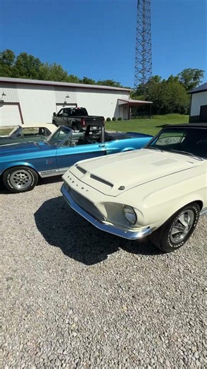 Shelby Convertibles for Days Here at Nate’s Classic Cars! #shelby #shelbygt500 #shelbygt350 #428cj