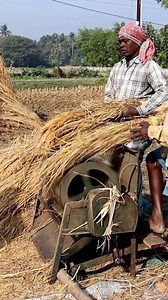 Traditional Paddy Threshing by Paddle Thresher Hi Friends, In this reel you can see that the farmers were busy threshing paddy manually by paddle thresher. In this reel we tried to show you how paddy is threshed traditionally.. It's tiring and laborious too. But we see this method seldomly. #threshing #fb #reels #kisan #krishi #paddy #paddycultivation #paddyfarmers #paddyfarming #paddyfarmer #rice #ricefarmer #ricecultivation #ricefarming #fbreels #agriculture #agritech #farmer #farmers #agricul