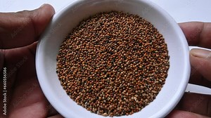 Eleusine coracana or finger millet. It is called Ragi and madua in India and Kodo in Nepal. It is an annual herbaceous plant. Its widely grown as a cereal crop in the in Africa and Asia.