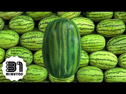 31 minutos - Pe & Pa - Lucía, la sandía