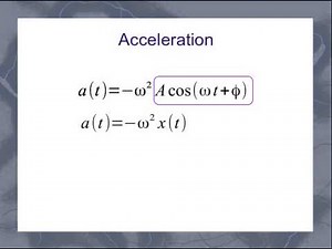 Simple Harmonic Motion Forces