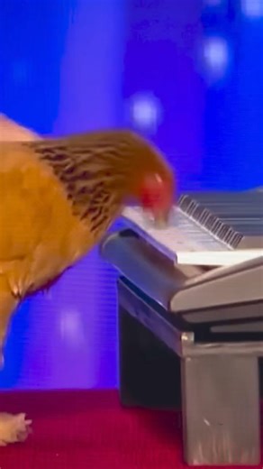 8.5K views · 149 reactions | #impracticable | Abdullahi Sheik Aden | Facebook