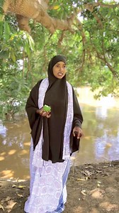 Wabiga jiinkisa | Hodan leeyli