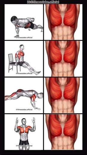 Exercises for Chest Fat ① One Arm Push-up ② Dip on Chair ③ Cobra Push-up#ytshort #viralshorts #reel