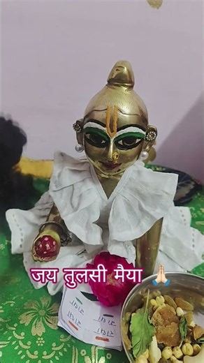 The Significance of Tulsi Burning in the Funeral Pyre 🙏🏻
