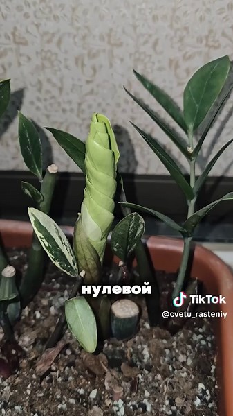 Хитрости и советы для успешного профиля