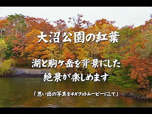 大沼公園の紅葉（湖と駒ケ岳を背景にした絶景が楽しめます）４Ｋ