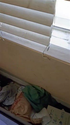 out the window #funny #memes