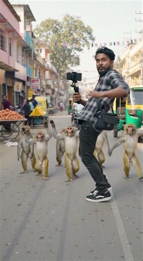 “Monkeys Started Copying Me | Funny Video”