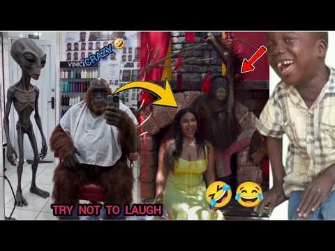 Try Not To Laugh 2026 😅 | Best Funny Moments 🤣 Meme Compilation Part 1