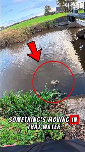 When the Water EXPLODES — The Monster Pike Attack!