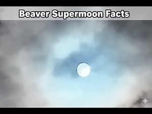 Supermoon, Lunar Halo, & The Beaver Moon: A Guide to the November Sky in 4K